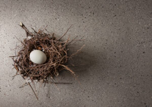 gresie si faianta de calitate | An Egg In A Nest | Gresie Premium | Importator gresie faianta parchet de calitate din Italia
