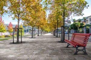 gresie si faianta de calitate | Empty Bench In Park During Autumn | Gresie Premium