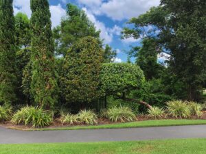 gresie si faianta de calitate | Sidewalk path through manicured garden | Gresie Premium