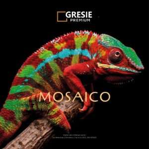 gresie si faianta de calitate | MosaicoBoxer2 | Gresie Premium