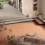 Gresie porțelanată Homey de la Ceramiche Piemme, aspect contemporan — ambient din colecție